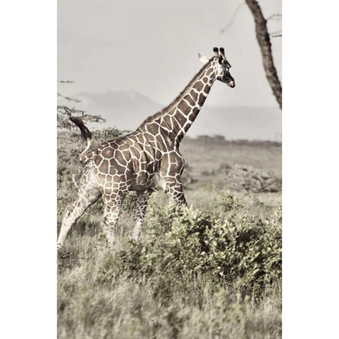 Sepia Giraffe Gold Ornate Wood Framed Art Print with Double Matting by Bryant, Susan