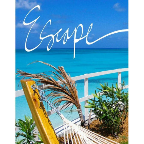 Escape Black Modern Wood Framed Art Print with Double Matting by Bryant, Susan