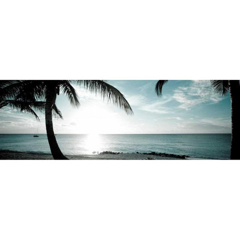Cool Bimini II Black Modern Wood Framed Art Print by Bryant, Susan