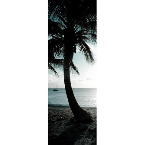 Cool Bimini Palm II Gold Ornate Wood Framed Art Print with Double Matting by Bryant, Susan