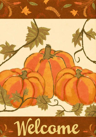 Harvest Pumpkin White Modern Wood Framed Art Print with Double Matting by Biscardi, Nicholas
