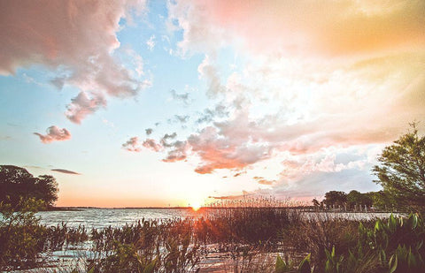 Sunset Black Ornate Wood Framed Art Print with Double Matting by Nawrocke, Bruce