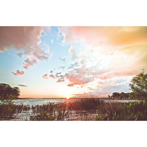 Sunset Black Modern Wood Framed Art Print by Nawrocke, Bruce