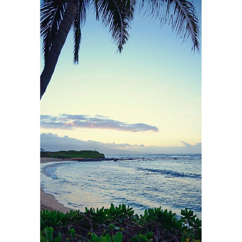 Sunrise In Paradise Gold Ornate Wood Framed Art Print with Double Matting by Nawrocke, Bruce