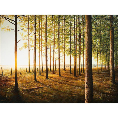 Sunrise In The Woods Black Modern Wood Framed Art Print with Double Matting by Nawrocke, Bruce