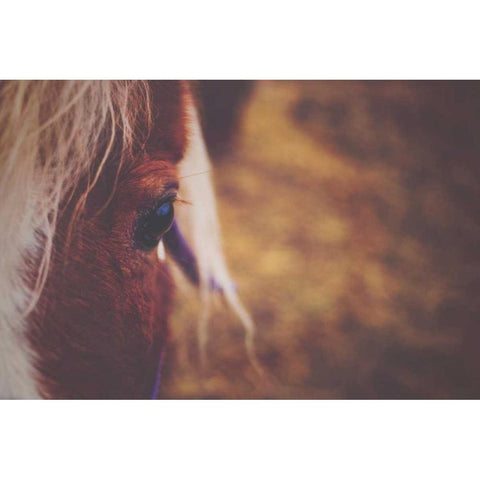 The Eye Black Modern Wood Framed Art Print with Double Matting by Poynter, Kelly