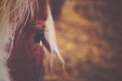 The Eye White Modern Wood Framed Art Print with Double Matting by Poynter, Kelly