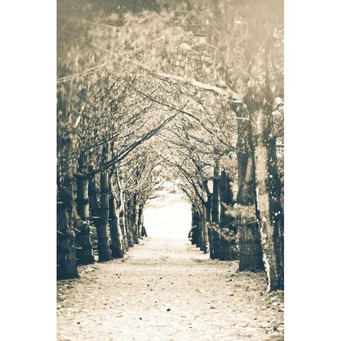 Woods Black Modern Wood Framed Art Print with Double Matting by Poynter, Kelly