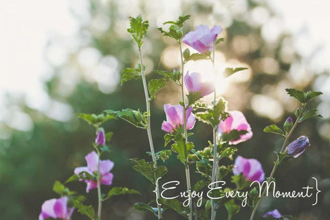 Enjoy Every Moment White Modern Wood Framed Art Print with Double Matting by Poynter, Kelly