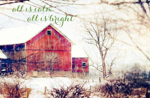 Calm and Bright Barn Black Ornate Wood Framed Art Print with Double Matting by Poynter, Kelly