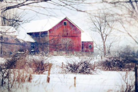 Winter Barn Black Ornate Wood Framed Art Print with Double Matting by Poynter, Kelly