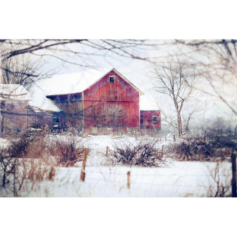 Winter Barn Black Modern Wood Framed Art Print by Poynter, Kelly