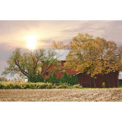 My Red Barn Gold Ornate Wood Framed Art Print with Double Matting by Poynter, Kelly
