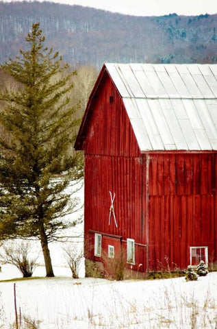 Red Barn House White Modern Wood Framed Art Print with Double Matting by Poynter, Kelly