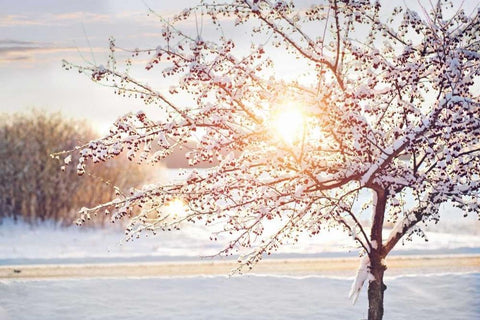 Winter Sunrise White Modern Wood Framed Art Print with Double Matting by Poynter, Kelly