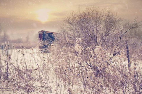 Winter Sunset Black Ornate Wood Framed Art Print with Double Matting by Poynter, Kelly