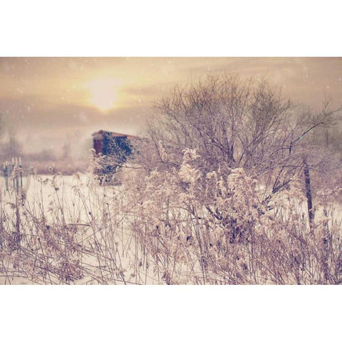 Winter Sunset White Modern Wood Framed Art Print by Poynter, Kelly