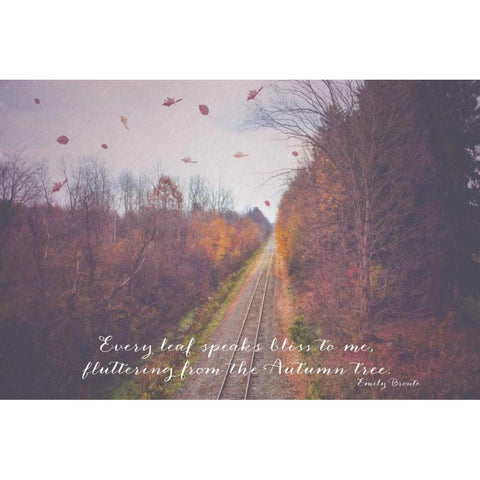 Fluttering Autumn Trees Black Modern Wood Framed Art Print by Poynter, Kelly