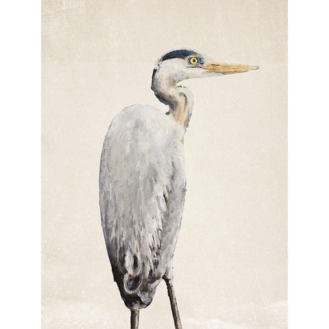 Grey Heron II Black Modern Wood Framed Art Print with Double Matting by Johnson, Walt