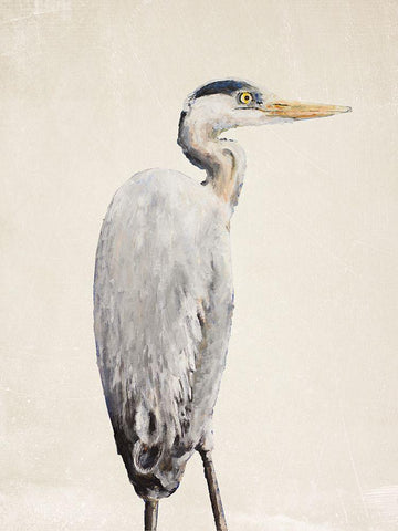Grey Heron II White Modern Wood Framed Art Print with Double Matting by Johnson, Walt