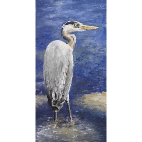 Into the Pond II Black Modern Wood Framed Art Print by Johnson, Walt