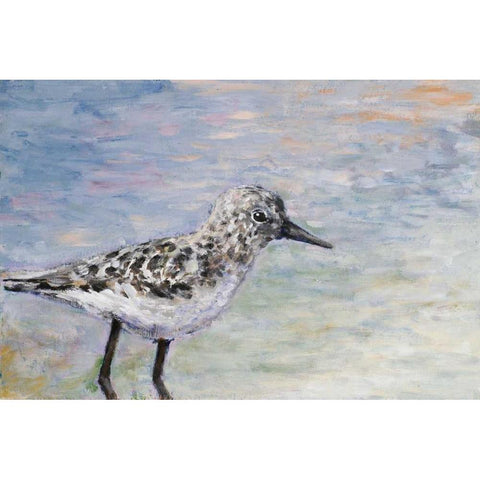 Sandpiper I Black Modern Wood Framed Art Print with Double Matting by Johnson, Walt