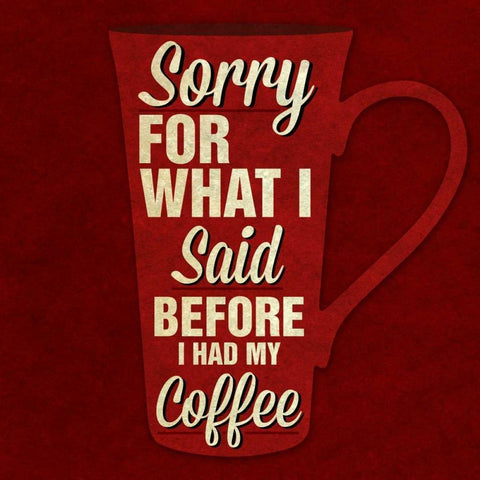 Sorry For What I Said III White Modern Wood Framed Art Print by Studio, Sd Graphics