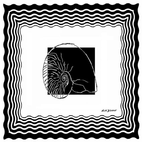 Bath Shells Square I Black Ornate Wood Framed Art Print with Double Matting by Biscardi, Nicholas