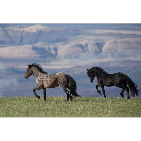 Horses In The Field With Mountains Gold Ornate Wood Framed Art Print with Double Matting by Walker, Carol