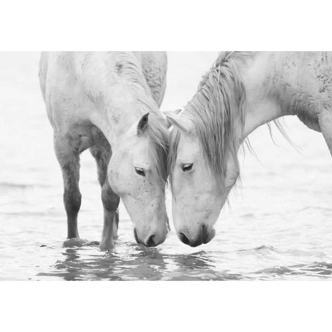 White Water Horses Black Modern Wood Framed Art Print with Double Matting by Walker, Carol