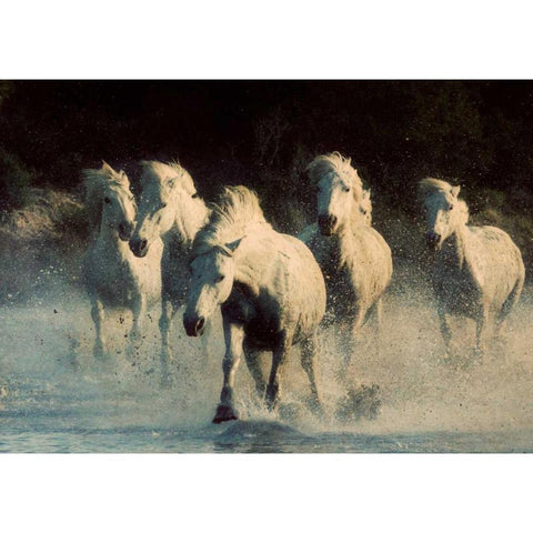 White Running Horses White Modern Wood Framed Art Print by Walker, Carol