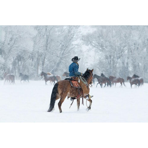 Wrangler In The Snow Gold Ornate Wood Framed Art Print with Double Matting by Walker, Carol