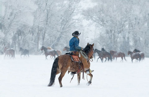 Wrangler In The Snow Black Ornate Wood Framed Art Print with Double Matting by Walker, Carol