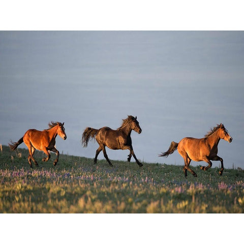 Chase of Life Gold Ornate Wood Framed Art Print with Double Matting by Walker, Carol