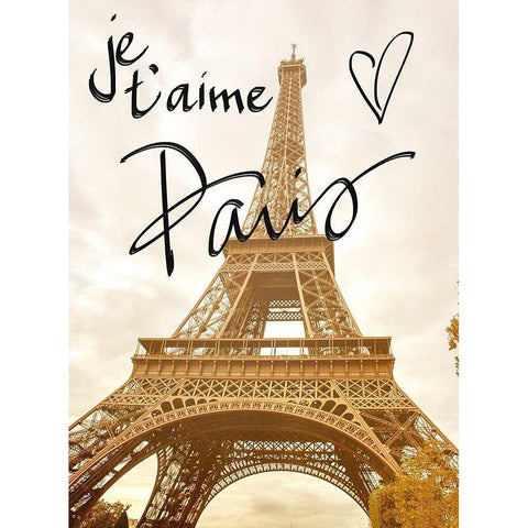 Je taime Paris Black Modern Wood Framed Art Print with Double Matting by Navas, Emily