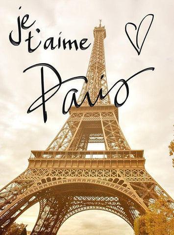 Je taime Paris Black Ornate Wood Framed Art Print with Double Matting by Navas, Emily