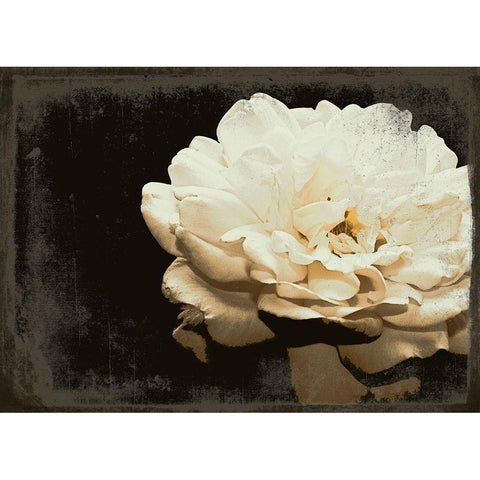Blooming Elegance Gold Ornate Wood Framed Art Print with Double Matting by Navas, Emily