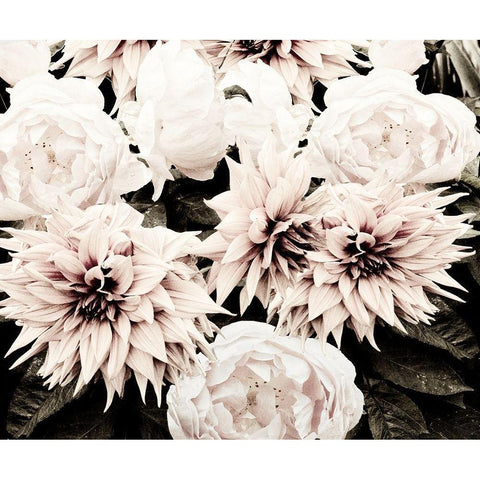 White Washed Garden White Modern Wood Framed Art Print by Navas, Emily