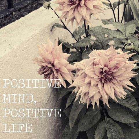 Positive Life Black Modern Wood Framed Art Print with Double Matting by Navas, Emily