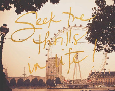 Seek Thrills In Life Black Ornate Wood Framed Art Print with Double Matting by Navas, Emily