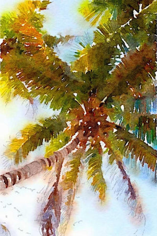 Watercolor Palms II White Modern Wood Framed Art Print with Double Matting by Navas, Emily