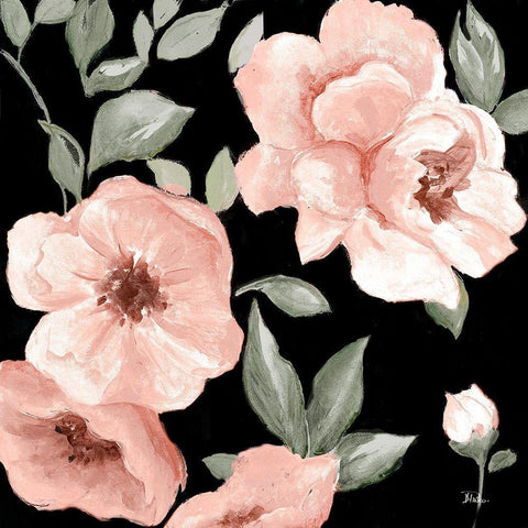 Dusty Rose on Black I White Modern Wood Framed Art Print with Double Matting by Pinto, Patricia