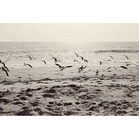 Dream of the Beach I Black Modern Wood Framed Art Print by Bryant, Susan