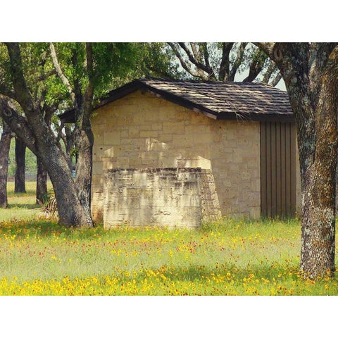 Country Meadow I White Modern Wood Framed Art Print by Peck, Gail