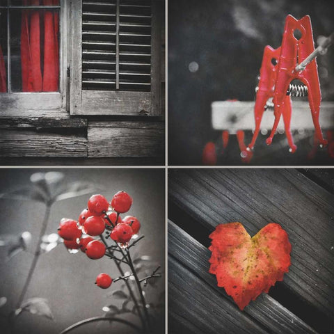 Red Hints Four Pack White Modern Wood Framed Art Print by Peck, Gail