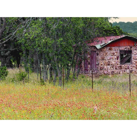 Country Meadow II Black Modern Wood Framed Art Print with Double Matting by Peck, Gail