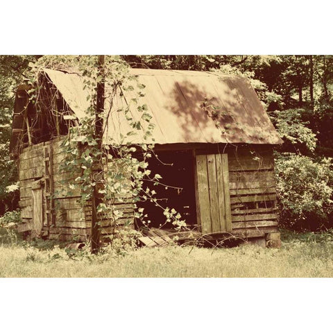 Homestead Black Modern Wood Framed Art Print by Peck, Gail