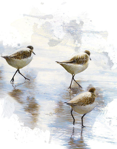 Sand Dancers II White Modern Wood Framed Art Print with Double Matting by Nawrocke, Bruce
