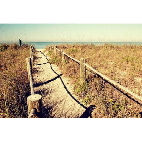 Sandy Path I Black Modern Wood Framed Art Print with Double Matting by Peck, Gail