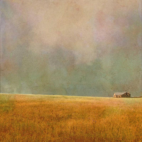 After the Rain White Modern Wood Framed Art Print by Mabat, Ynon